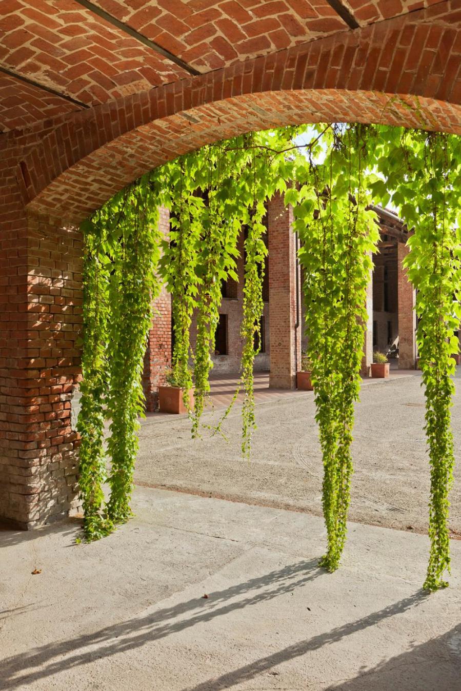 Marchesi Incisa Winery Lodge Rocchetta Tanaro Екстер'єр фото