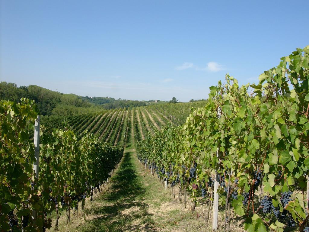 Marchesi Incisa Winery Lodge Rocchetta Tanaro Екстер'єр фото